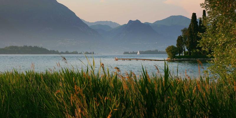 从代码到连接:基于意图的网络(IBN)如何重塑前端开发与网络运维的智能边界